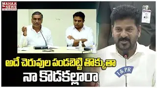 అదే చెరువుల పండబెట్టి తొక్కుతా నా కొడకల్లారా | CM Revanth Reddy | Harish Rao | Mahaa Telangana