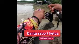 Sutrek kakap baramundi ketua #fishing #mancing 