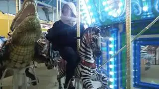 Turtle Back Zoo Carousel