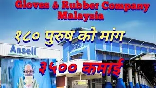 Ansell Seremban Sdn Bhd Malaysia @Demands.3706Malaysia demands@Gloves company @Rubber company