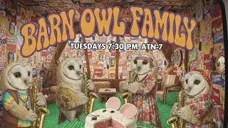 Barn Owl Family Band (Australian TV)