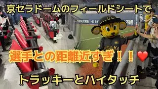 【トラッキーのサービス精神最高‼️】⭐︎京セラドームのフィールドシート（大商大シート）でトラッキーとハイタッチできます‼️2025年8月10日阪神タイガース対ヤクルトスワローズ⭐︎祝阪神タイガース優勝