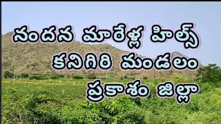 Nandana marella hills | kanigiri | prakasam district