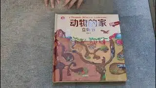 3D Pop up Books - Animal Homes