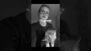 No Batid&atilde;o 🐾 | Viral Trend ~ #lyrics #ravo