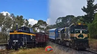 707 Operations - Somerville Sojourn and the Mornington Tourist Railway | H5, T413, T411 & W241
