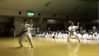 空手　和道会　「クーシャンクー形分解」　（karate wadokai)
