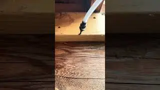 Spot treating drywood termites with Premise Foam bugproinc.com #termite #wood #satisfying