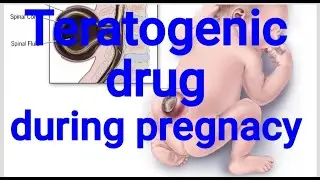 &ldquo;Teratogenic Drugs in Pregnancy | Pharmacology & Safety&rdquo;