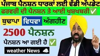 2500 ਪੈਨਸ਼ਨ #2500Pension #pension #bhagwantmann #oldagepension #punjabinews #punjabnaws #todaynews