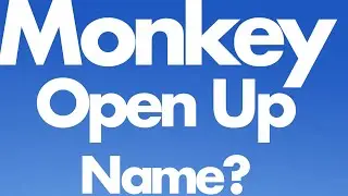 Monkey name #monkeyai#ai#brian#sora if zack monkey open up diddy blud