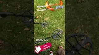 Minelab Equinox & Xterra EQX15 metal detector coil is now under 2️⃣0️⃣0️⃣ !