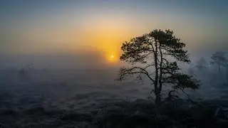 Metsakannel (Forest of Kannel) &mdash; Estonian Ethno Deep House 2025 [4K Nature Video]