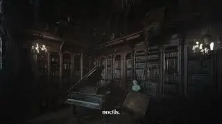 dark academia night - music for lost scholars.