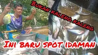 mengecek spot untuk mancing Lais di malam hari. ternyata begini hasil nya