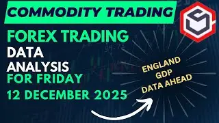 Commodity Trading Data for Today Friday 12 December 2025