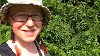We're having a HEATWAVE in the UK! ☀ DAILY VLOGS, WALES UK