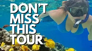 The BEST Kona Snorkel Tour on the Big Island of Hawaii 🐠
