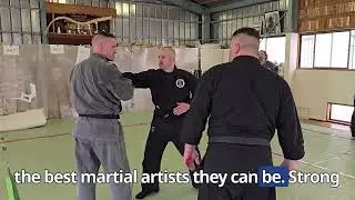 A Martial Art Must Be More Than a Dance