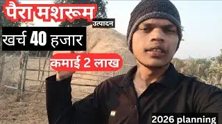 पैरा मशरूम उत्पादन 2026 planing 