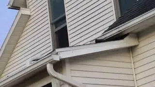 Bat Eviction Mt. Gilead, OH