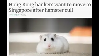 Exodus from Hong Kong to Singapore Is On
