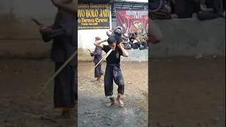 WADYO BOLO JATI | #shorts #seni #budaya #culture #carnaval #sports #trip #subscribe