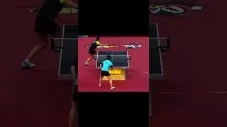 The Most Epic Moments in Table Tennis 🏓🔥 #tabletennis #tabletennisbestpoints #wtt #bestpoints