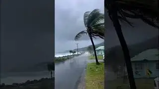 HURRICANE DESTROYED Our House! Category 5 Wind and RAIN  in Jamaica