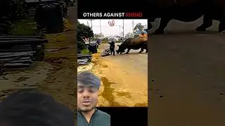 Rhino vs other animals #shorts #elephant #hippo #rhino