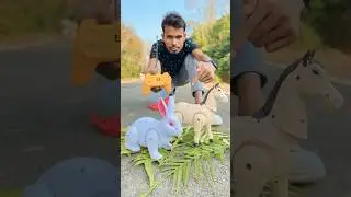 Remote Control horse and 1 Rabbit 🐇 Testing