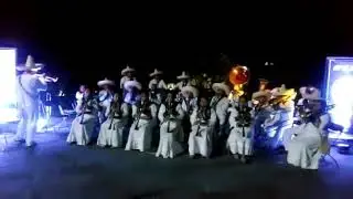 #ARAXO