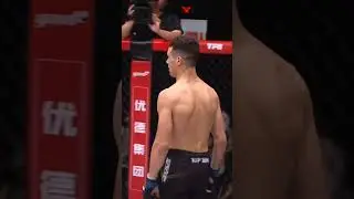 Borislav Nikolic at his BRUTAL best💥#mma #shorts #serbia