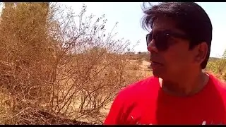 She's Still Alive | Pune Diaries | The Haunted House