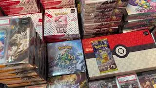 【実録】900万円分ポケカを1年ガチ保管した結果…相場が想像以上だった