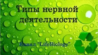 Типы нервной деятельности