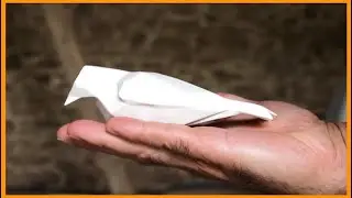 MOINEAUX EN PORCELAINE