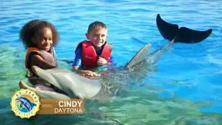 Marineland Dolphin Adventure &ndash; 