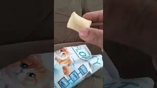 Snack kucing rasa bawang 😺 #cemilan #snacks #chips #keripikbawang #videoshort