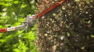 The Garden Gurus - Keeping your edges trim