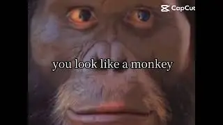 Go back to the zoo(that is me)