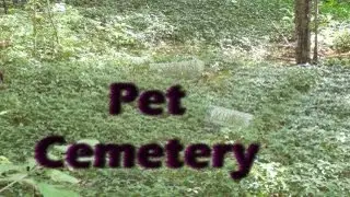 Old Abandoned Pet Cemetery