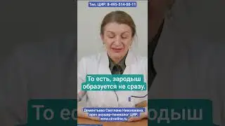 Эмбриональное развитие: бластоциста, плодное яйцо, зародыш, эмбрион. Дементьева С.Н.