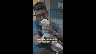 Start your adoption journey!