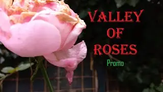 Valley of Roses (Promo)