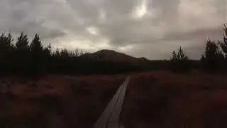 The Western Way