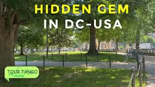 USA | Washington DC's Hidden Gem: Dupont Circle | Uncut Walk | Tour Tango