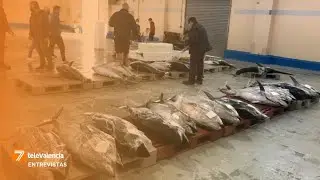 Bruselas pide eliminar la pesca de arrastre en todas las aguas protegidas de la UE para 2030