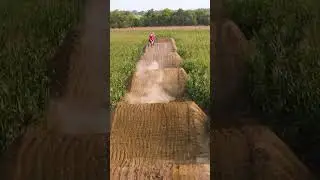 Ryan Dungey in a CORN FIELD