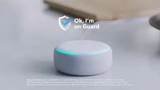 ADT + Alexa | Safe and Sound